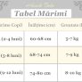tabel_3L_6L_9L