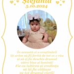 SET TRUSOU BOTEZ FATA MICA PRINȚESĂ ANASTASIA 0-8 luni "Deluxe" 19 piese